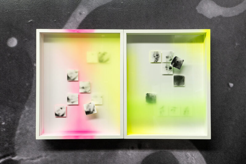 for that gob casts the image