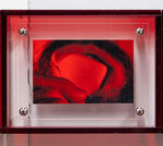 for that gob casts the image