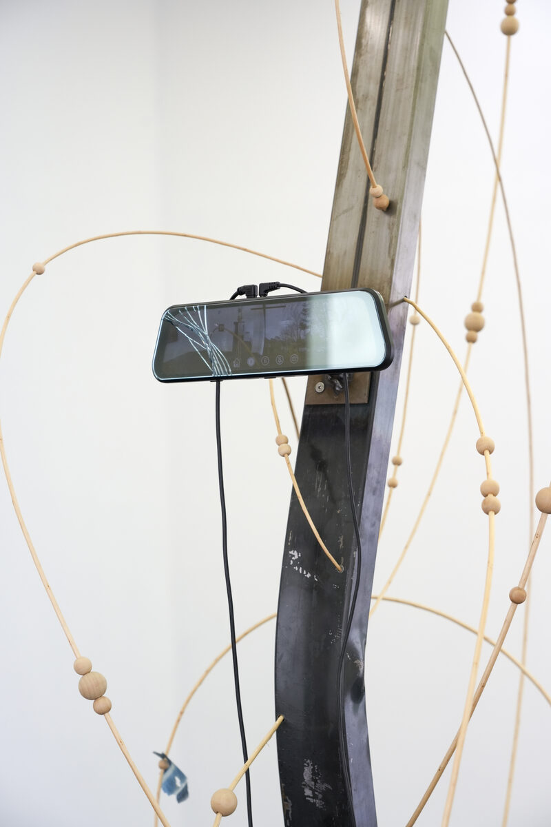 January has April's showers