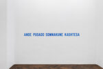LAWRENCE WEINER: IN RELATION TO PROBABLE USE