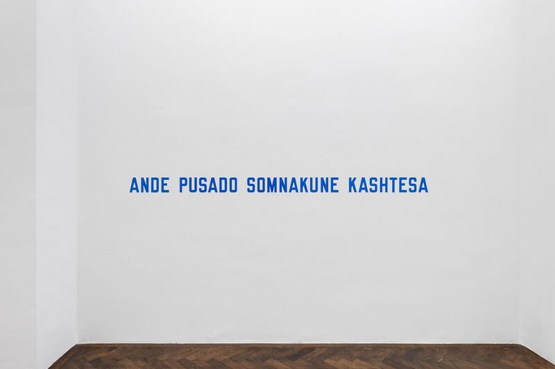LAWRENCE WEINER: IN RELATION TO PROBABLE USE