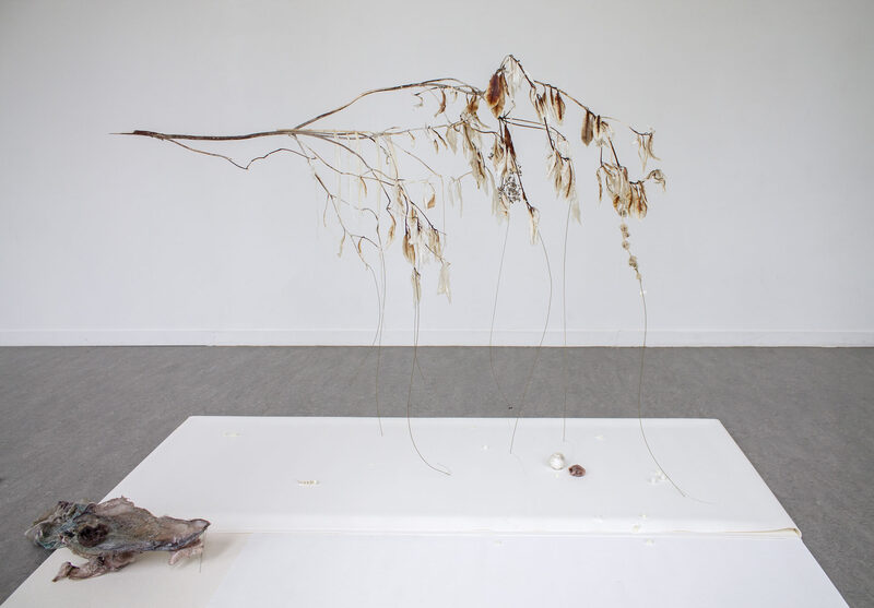 Withering into breath, wetness undoes itself