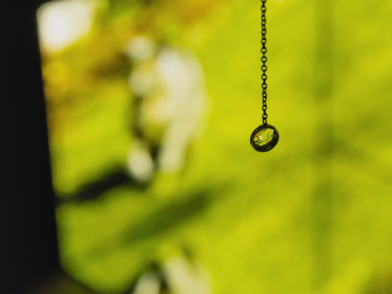 Confusion model into a butterfly