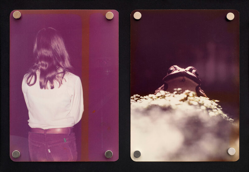 Pictures