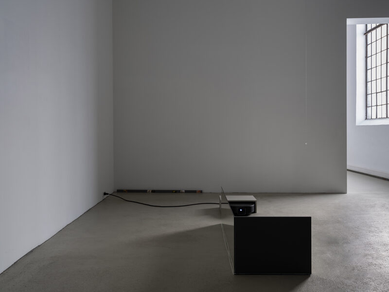 Confusion model into a butterfly