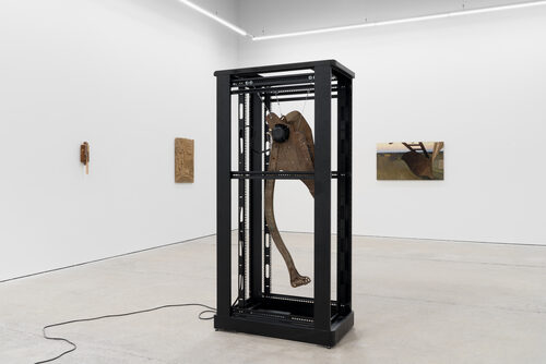 View featured exhibition Model Collapse at Galerie Nicolas Robert