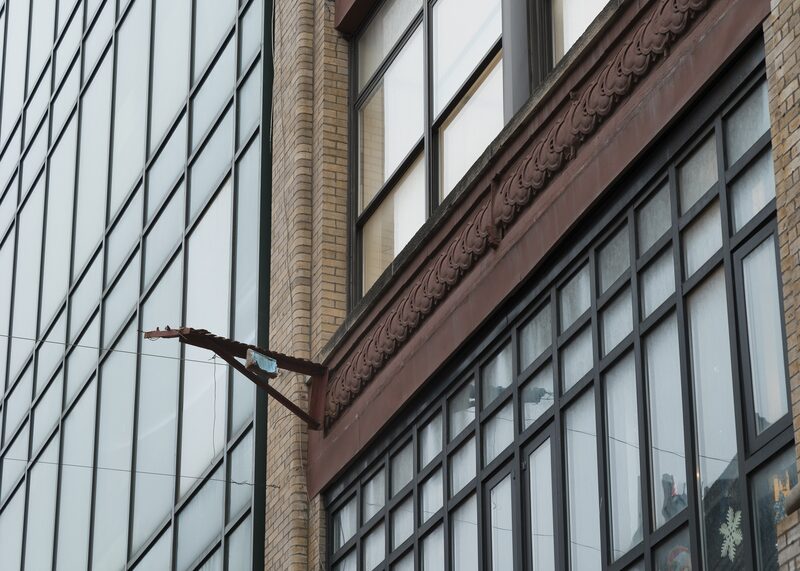 Snake, Turtle, Alligator