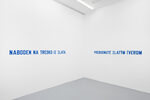 LAWRENCE WEINER: IN RELATION TO PROBABLE USE