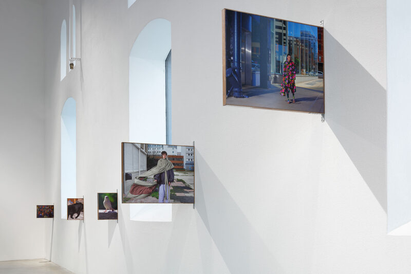 Locomotion (The Unfinished Path)