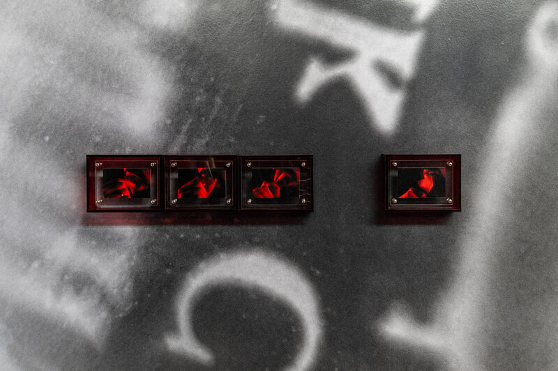 for that gob casts the image