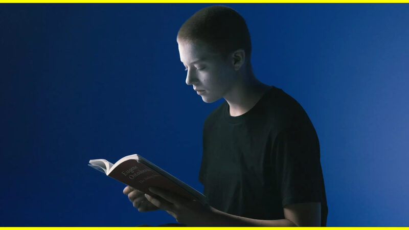 METAHAVEN - The Feeling Sonnets (Transitional Object)