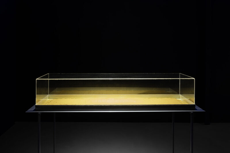 YELLOWSAKE - giallocanarino