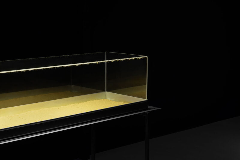 YELLOWSAKE - giallocanarino