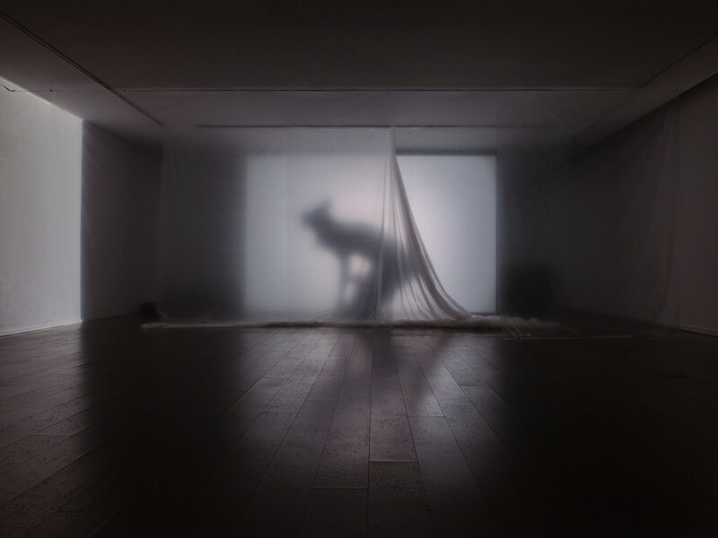 Stitches: A Haunted House and Other Ghost Stories