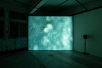 Taiwan International Video Art Exhibition – ANIMA