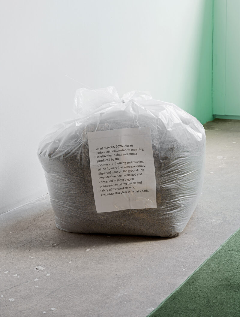 Metabolizing eviction try, work_mp3 and other games of topping
