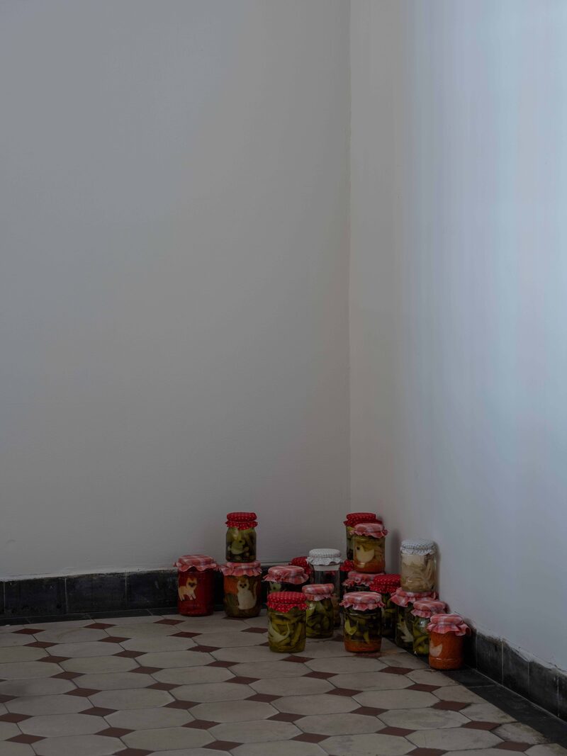 Confusion model into a butterfly