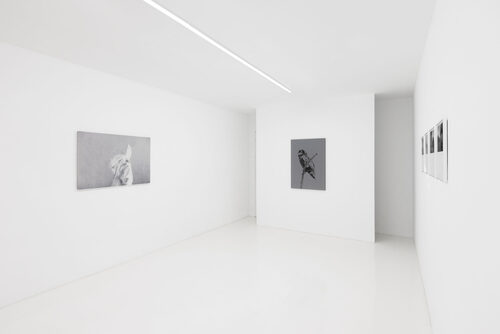 View exhibition