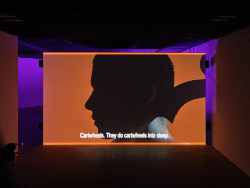 METAHAVEN - The Feeling Sonnets (Transitional Object)