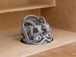 What We See, What Looks Back at Us