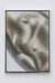 Animali degli Specchi