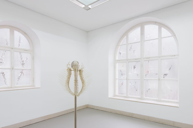 Vessels of Unbecoming