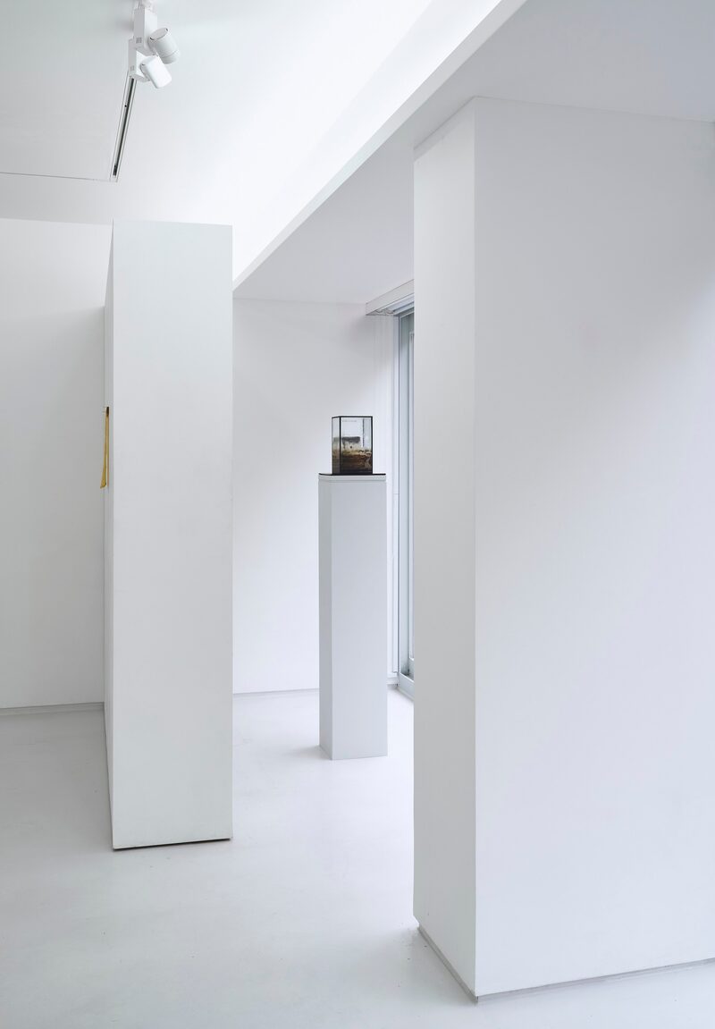 Secret Asian Man presents: 언니 언니(unni)