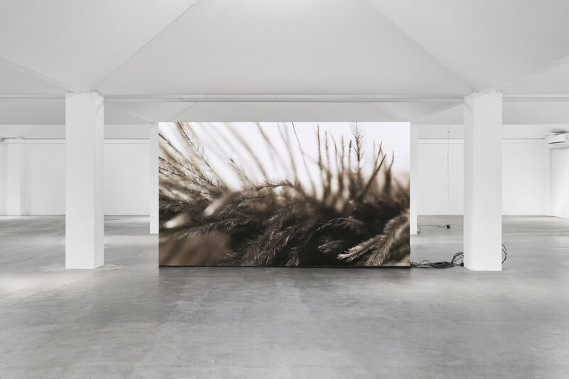 Future Mechanism Rag Plus Two Grams