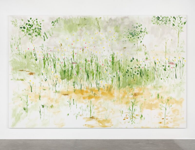 Trevor Shimizu