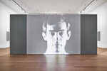 Peter Hujar / Liz Deschenes: Persistence of Vision