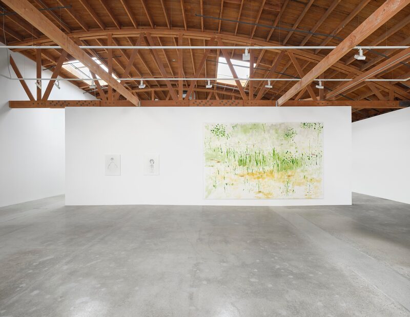 Trevor Shimizu