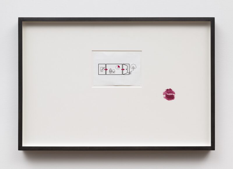 Snake, Turtle, Alligator