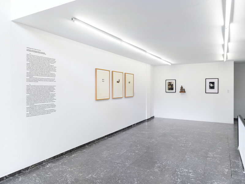 Nothing New Under the Sun — A selection of the Collection Flemish Community
