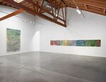 Trevor Shimizu