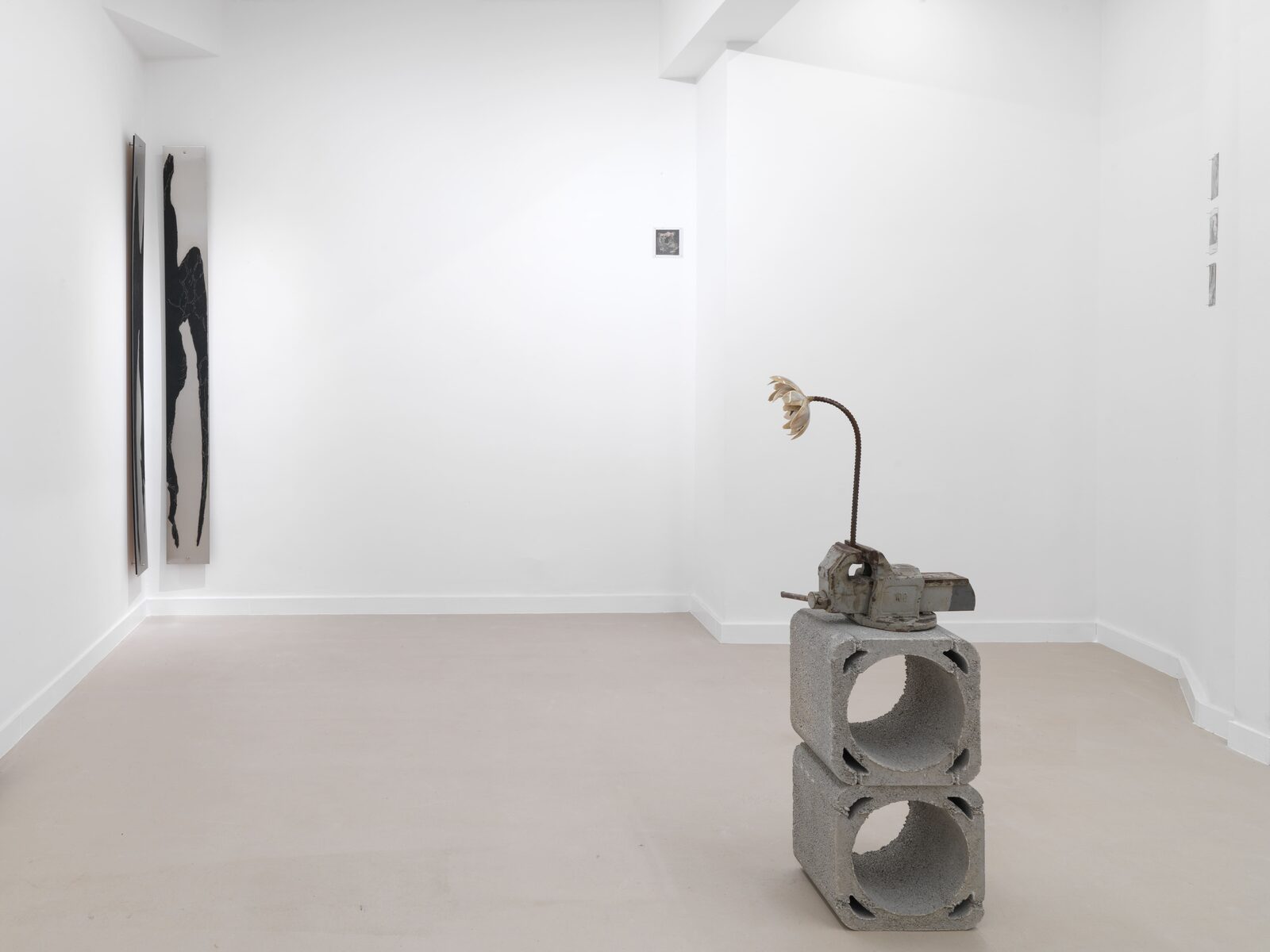 Image gallery Syndromes of Synthetic Never