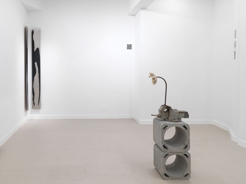 Syndromes of Synthetic Never