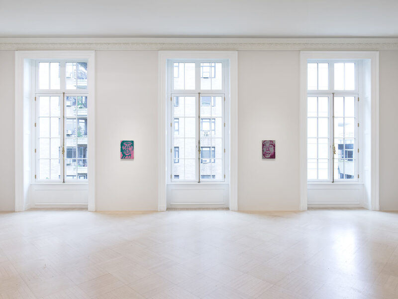 Knight of the Sorrowful Countenance