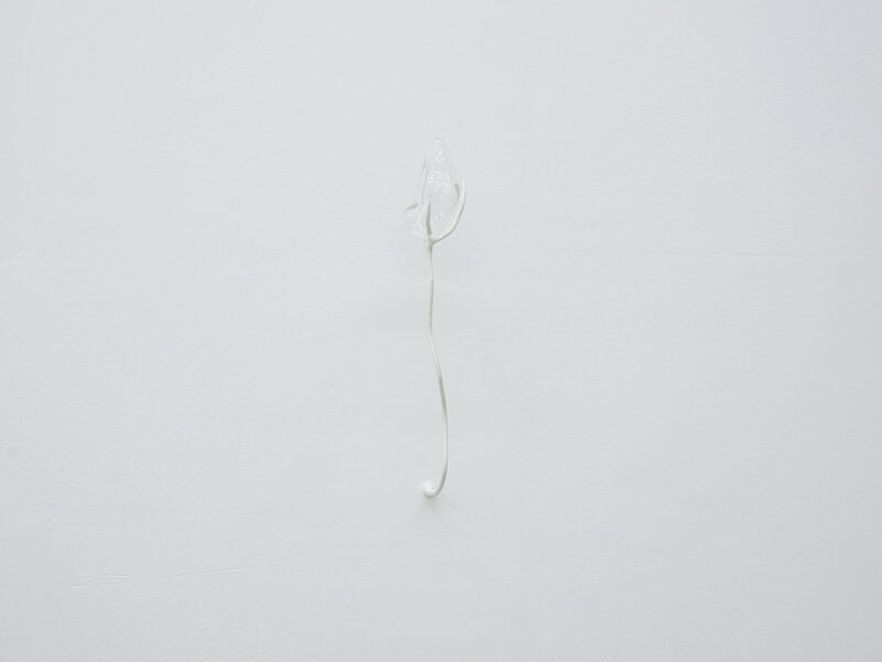 Odyssea: Le sel de la terre