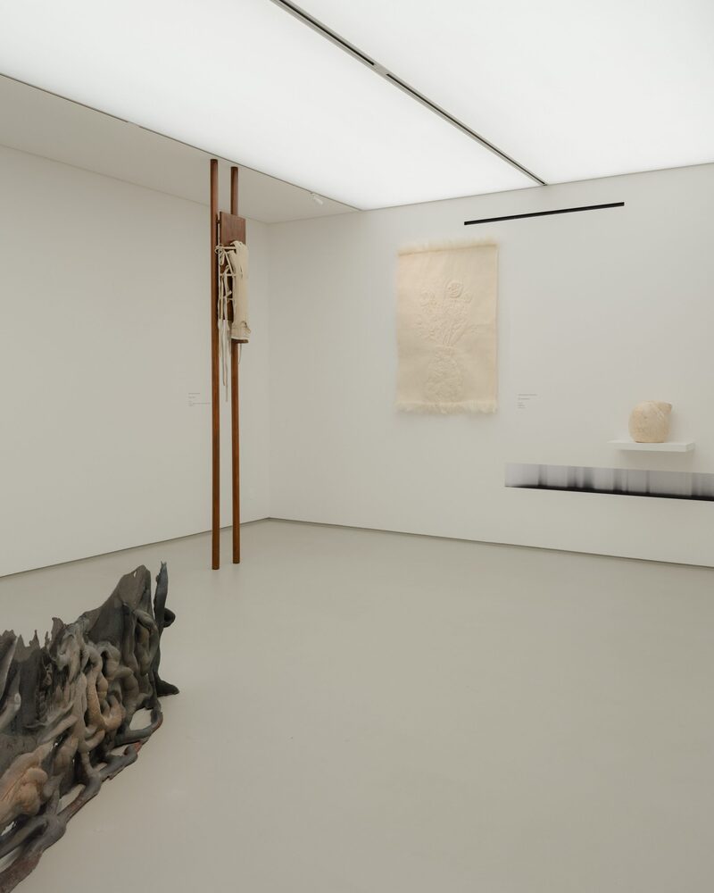 Sunlit Threads over the Black-Grey Wasteland