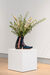 L'Hirondelle