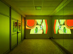 View exhibition