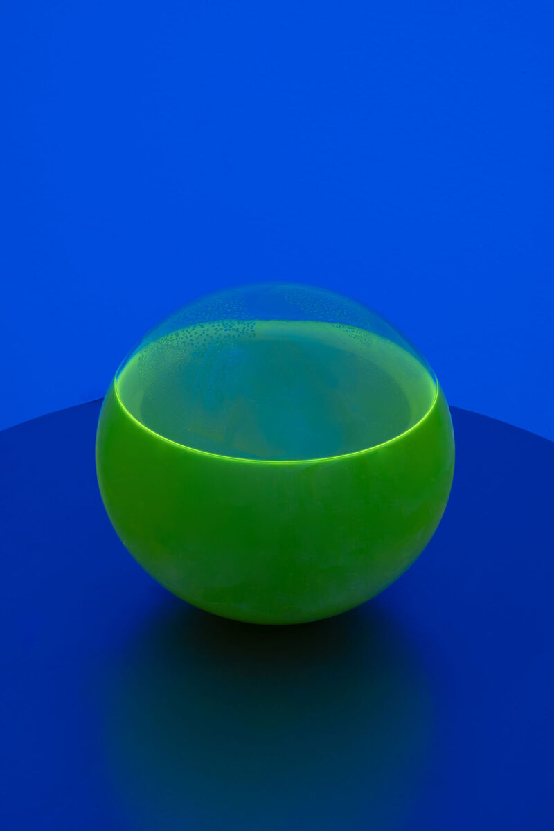 YELLOWSAKE - giallocanarino