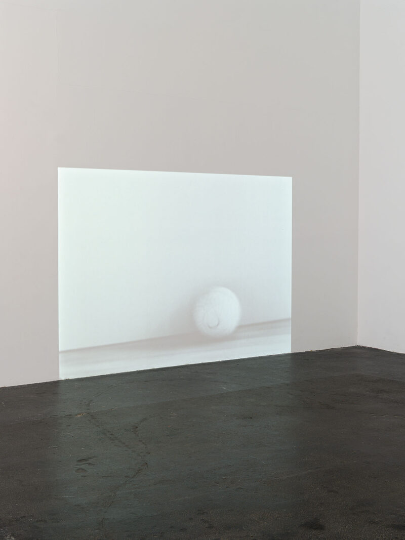 Yvonne Rainer: A Reader