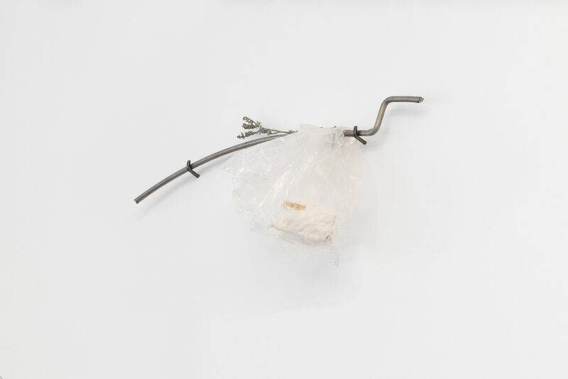 Touch, Spring / Berührung, Frühling