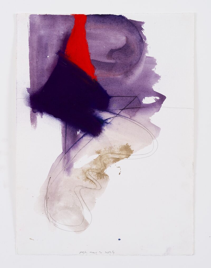 Inscriptions in a Shade of Color