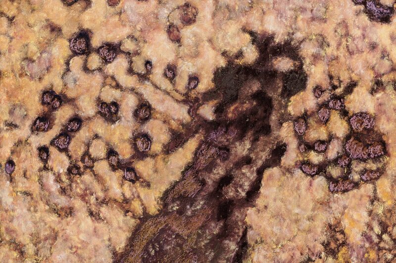 ~ Bismillah, slip skønheden fri