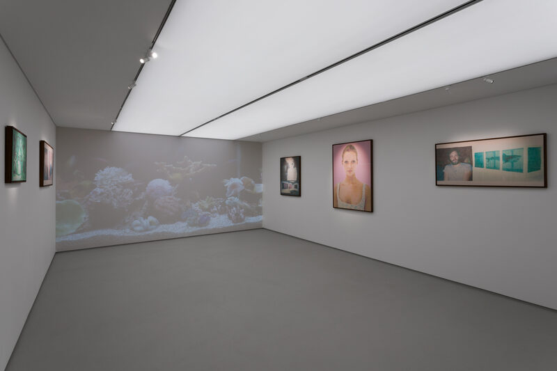 The Most Normal Person in the World