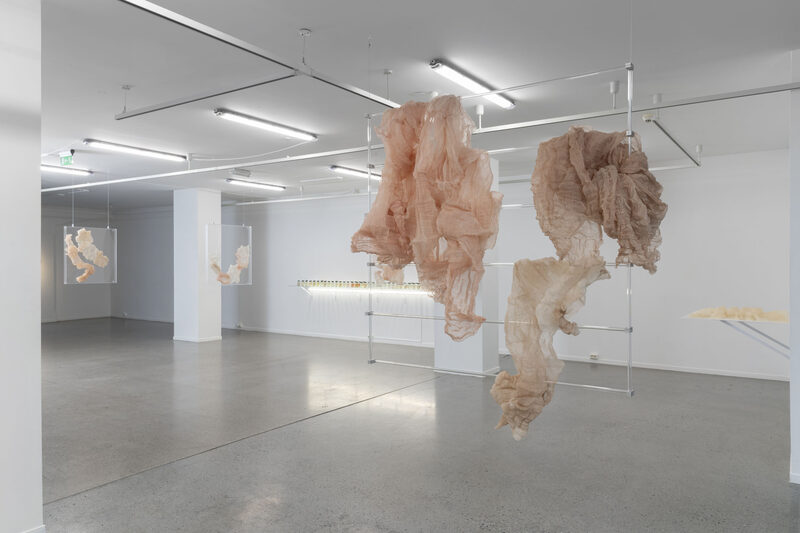 MATERIA MEDICA MEDICINA MAGICA