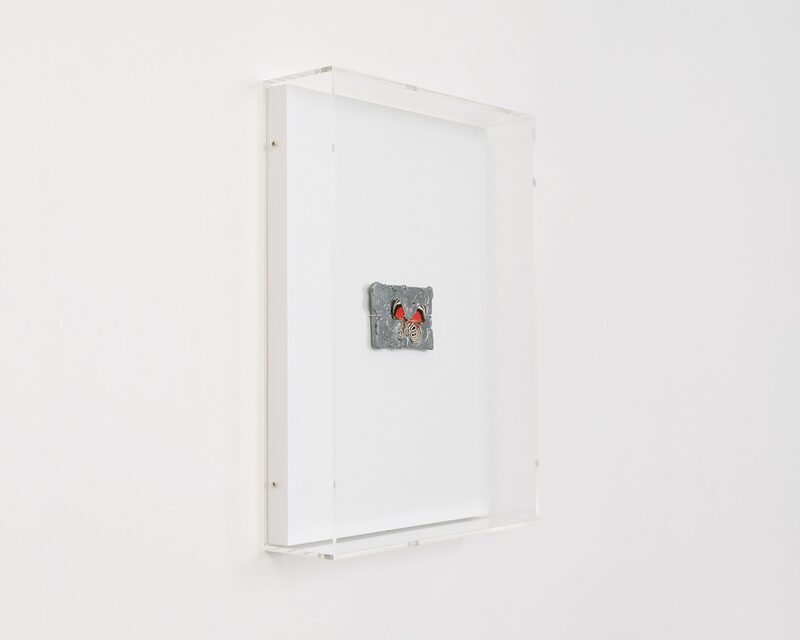 Charlie Froud, Kathleen Reilly, Tomomi Yamakawa