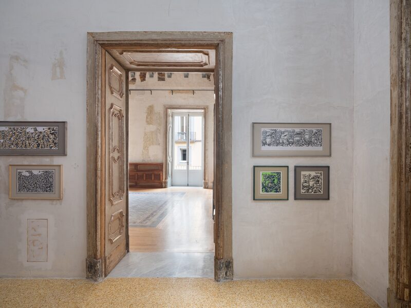 tHE mAMAS aND tHE pAPAS